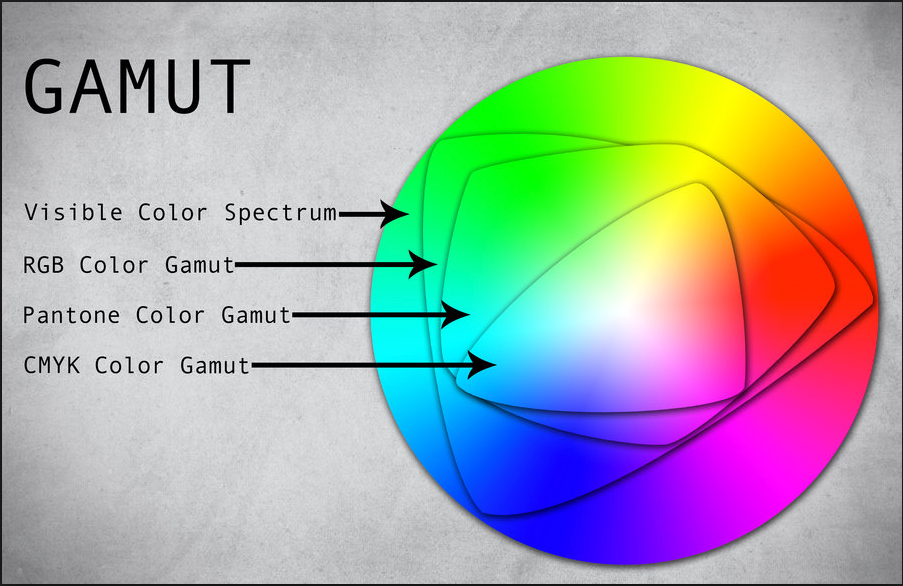 Color Gamuts Training in Vietnam